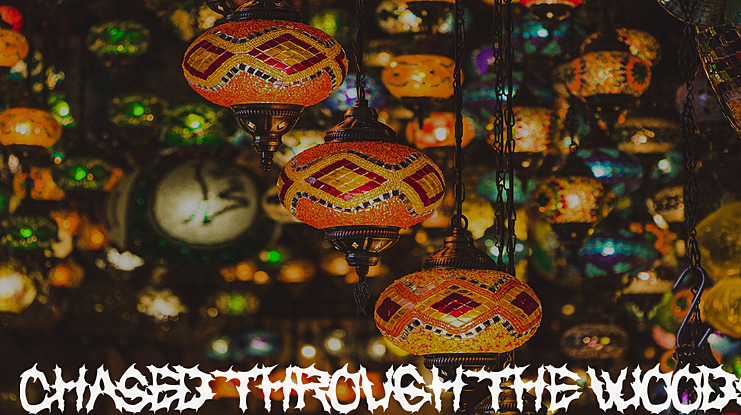 Chased Through The Woods Font