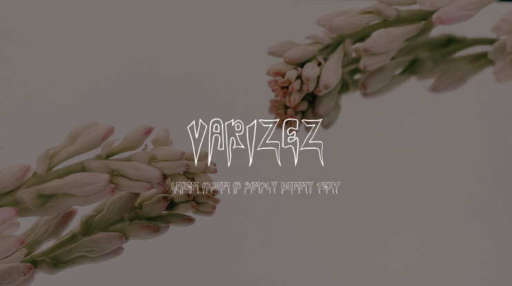 VARIZEZ Font