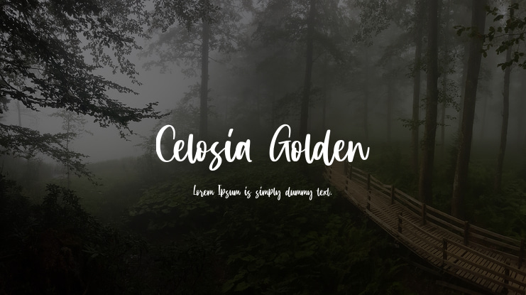 Celosia Golden Font