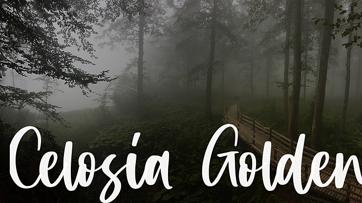 Celosia Golden Font