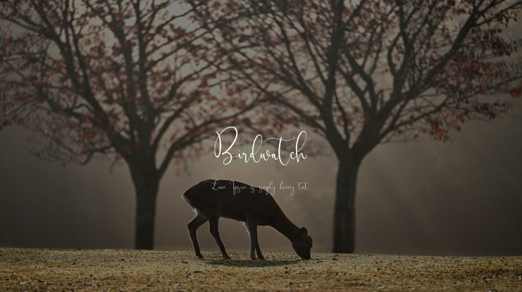 Birdwatch Font