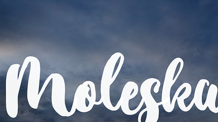 Moleska Font