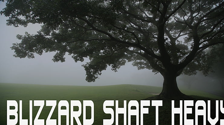 Blizzard Shaft Heavy Font Family