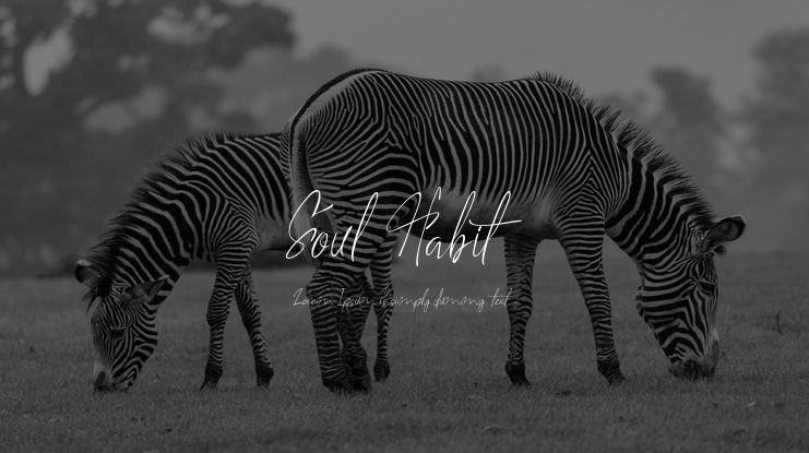 Soul Habit Font