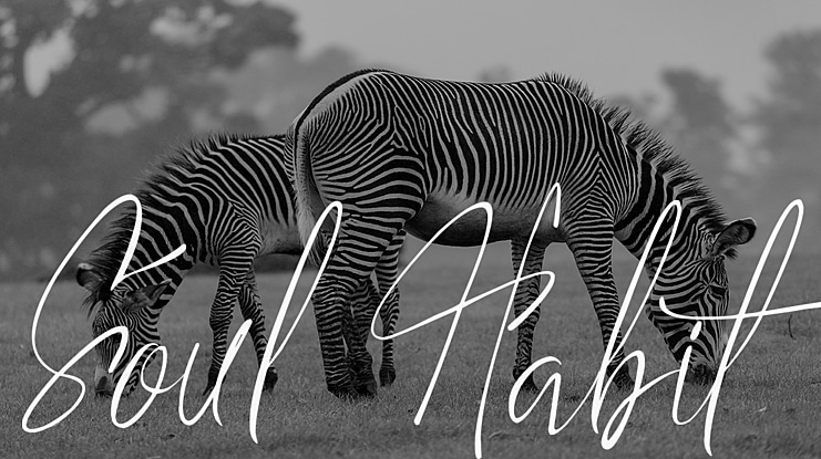 Soul Habit Font