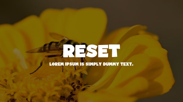 Reset Font