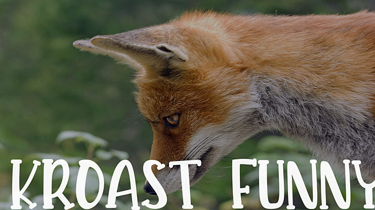 KROAST FUNNY Font