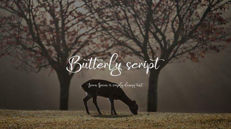 Butterly script Font