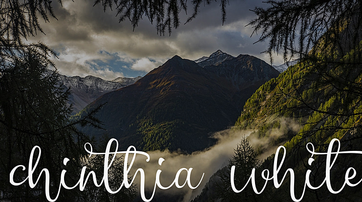 chinthia white Font