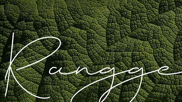 Rangge Font