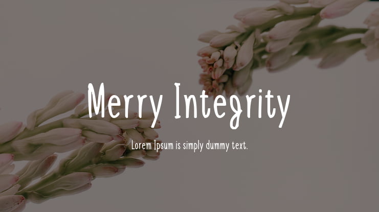 Merry Integrity Font