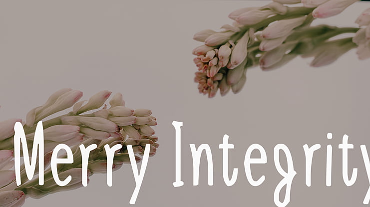 Merry Integrity Font