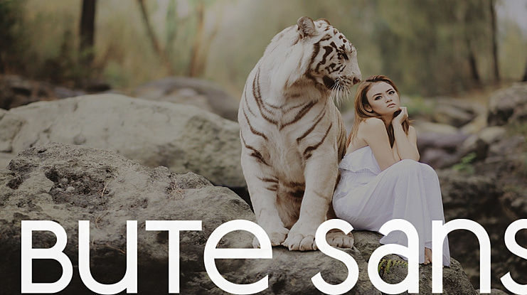 Bute Sans Font