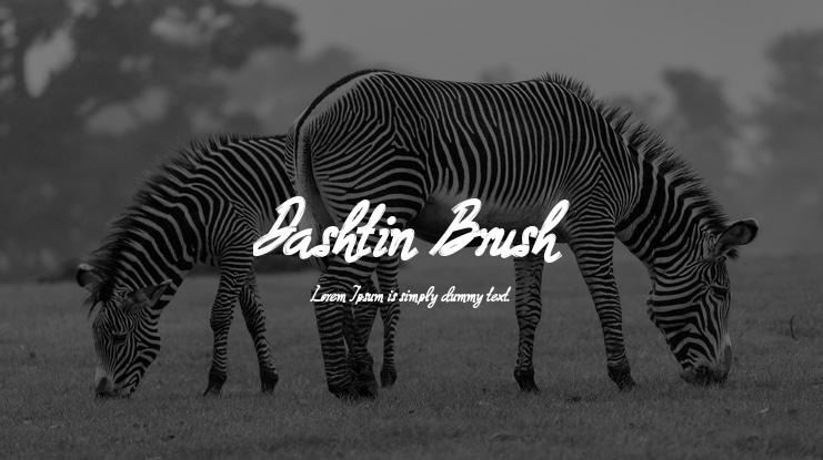 Dashtin Brush Font