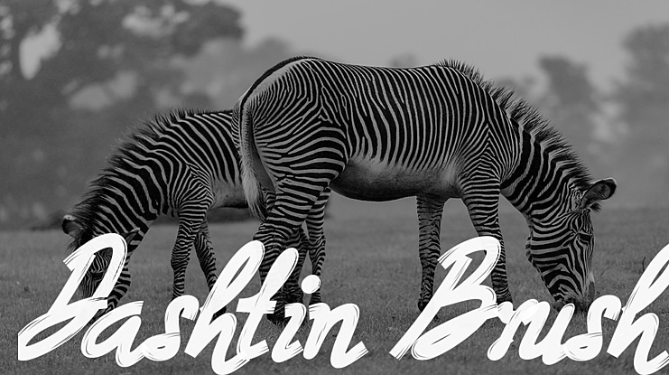 Dashtin Brush Font