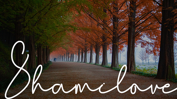 Shamilove Font
