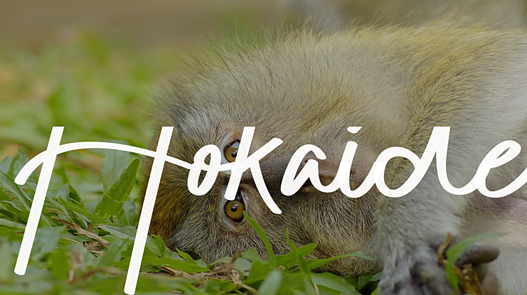 Hokaide Font