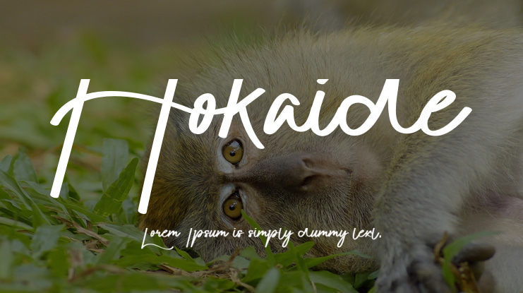 Hokaide Font