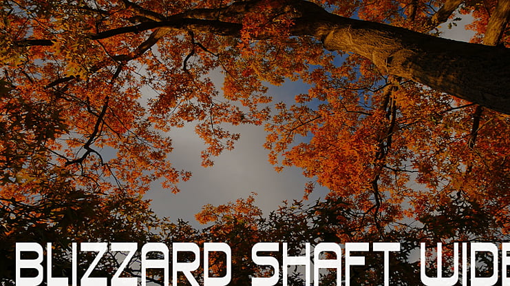 Blizzard Shaft Wide Font Family