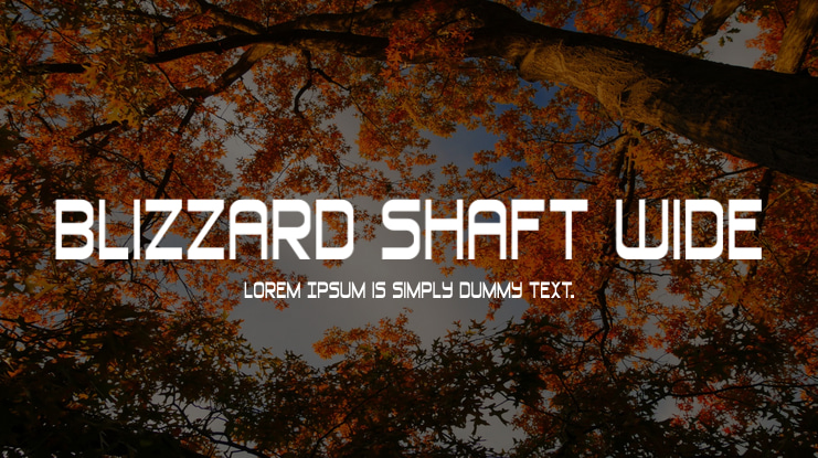 Blizzard Shaft Wide Font Family