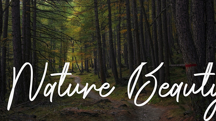 Nature Beauty Font