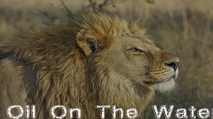 Oil On The Water Font