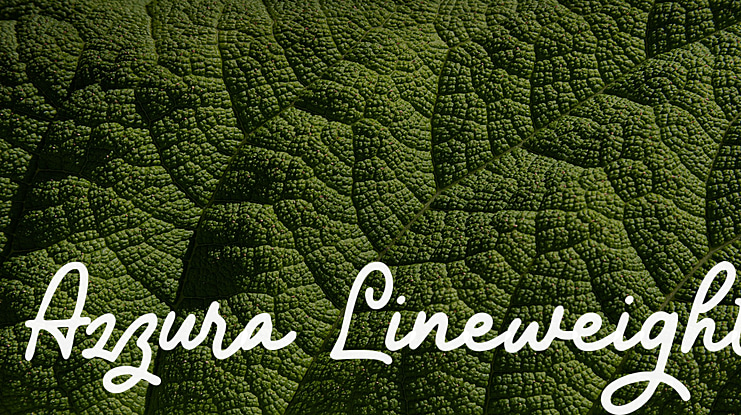 Azzura Lineweight Font