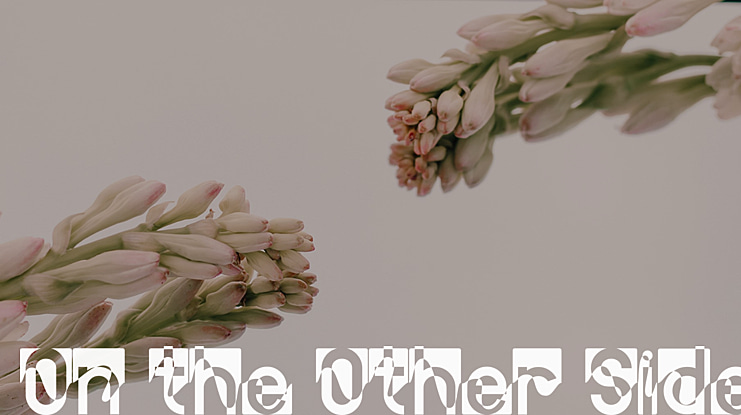 On the Other Side Font