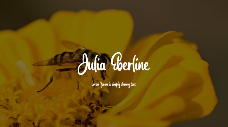 Julia Eberline Font