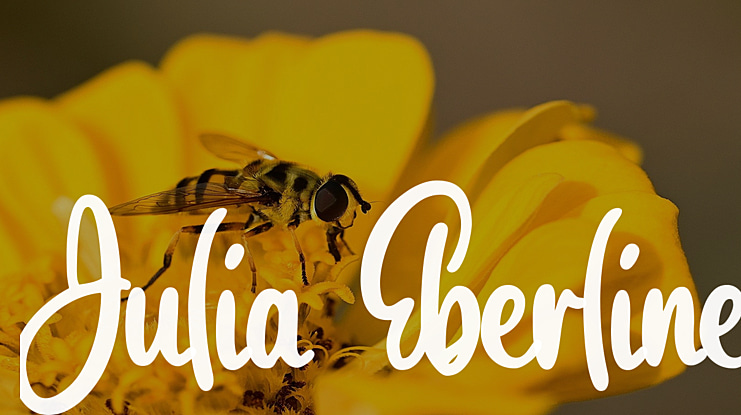 Julia Eberline Font