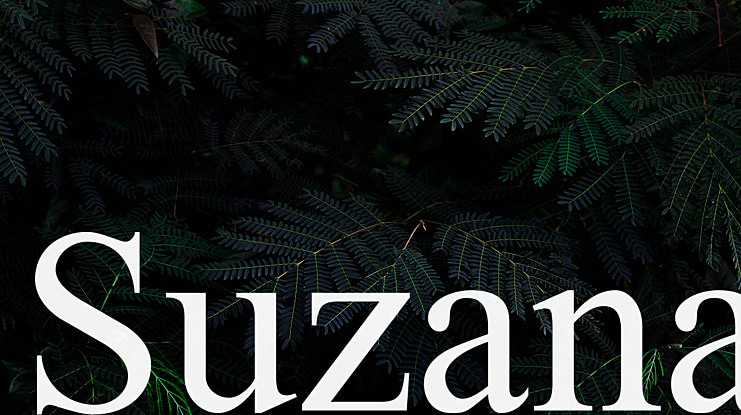 Suzana Font