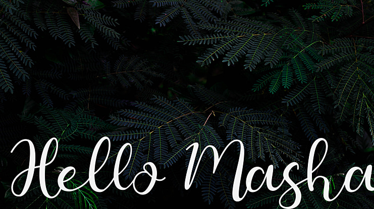 Hello Masha Font
