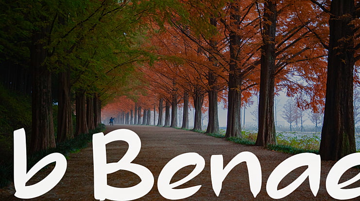 b Benae Font