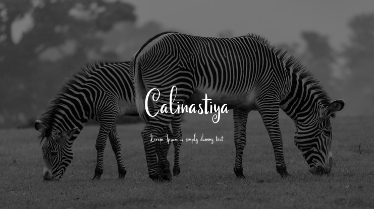 Calinastiya Font