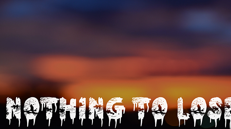 Nothing To Lose Font