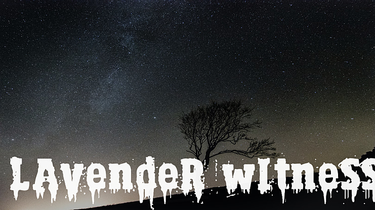 Lavender Witness Font