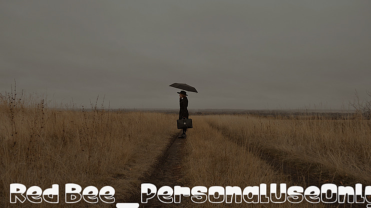 Red Bee_PersonalUseOnly Font