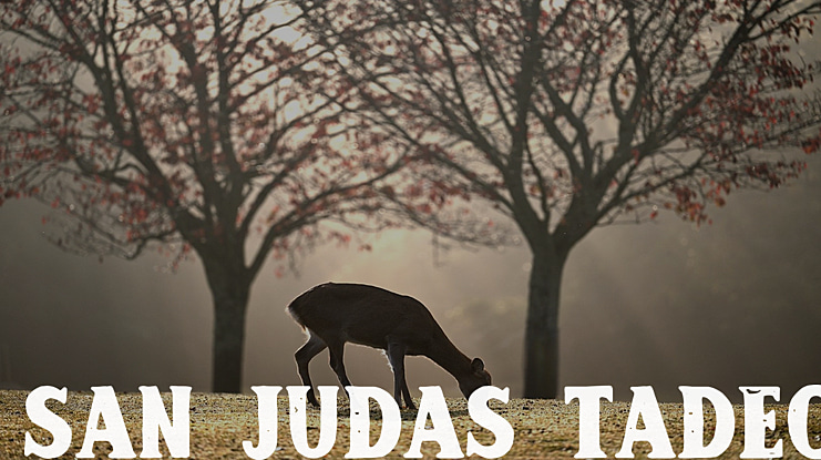 San Judas Tadeo Font