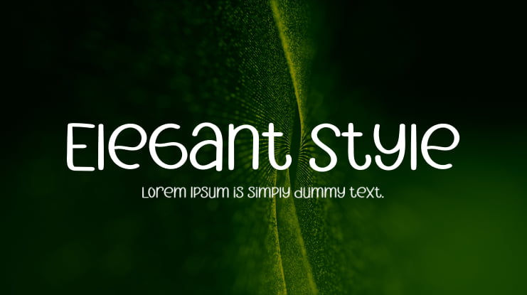 Elegant Style Font
