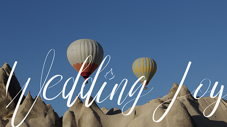 Wedding Joy Font