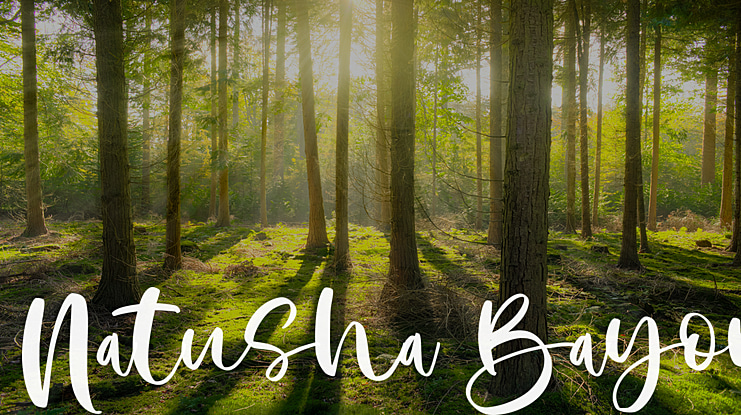 Natusha Bayor Font