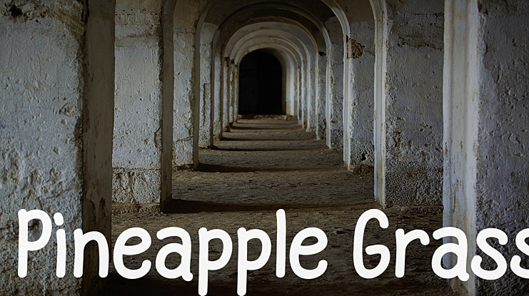 Pineapple Grass Font