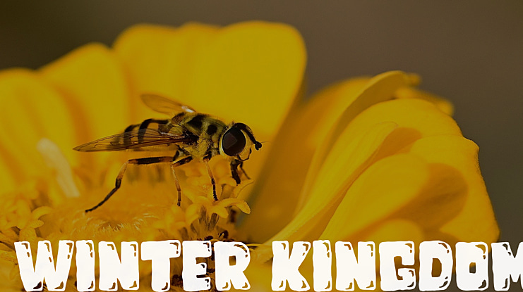 Winter Kingdom Font
