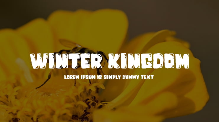 Winter Kingdom Font