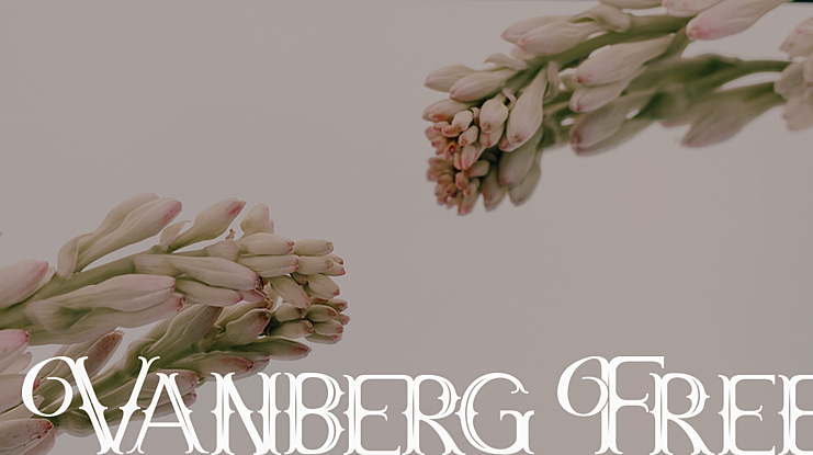 Vanberg Free Font