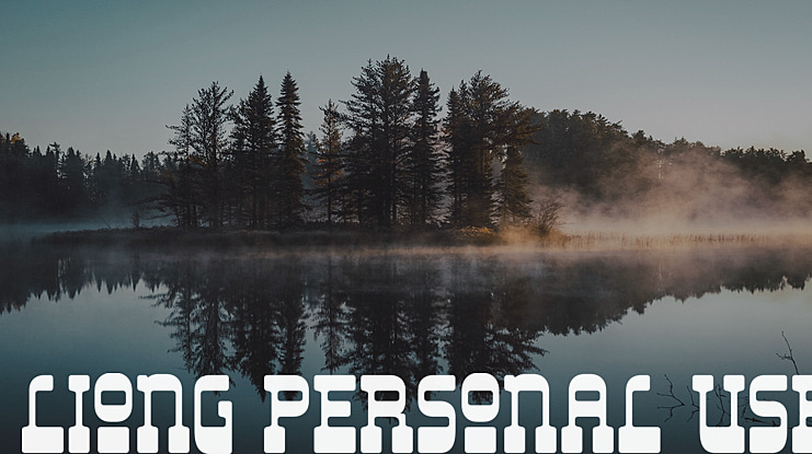 Liong Personal Use Font