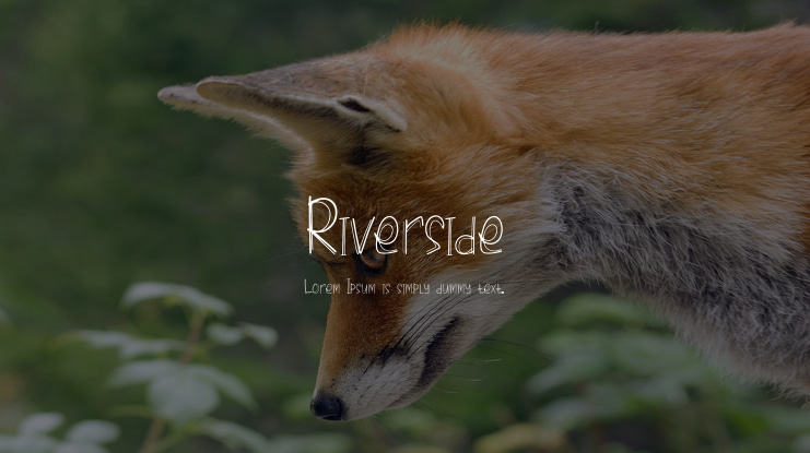 Riverside Font