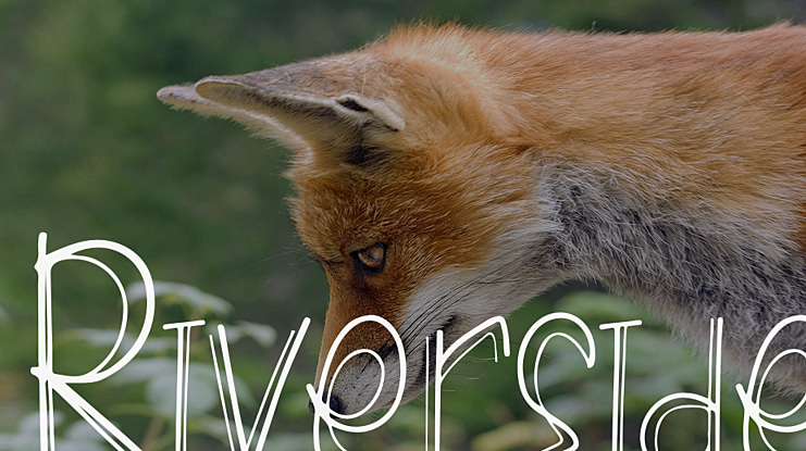 Riverside Font