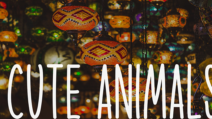Cute Animals Font