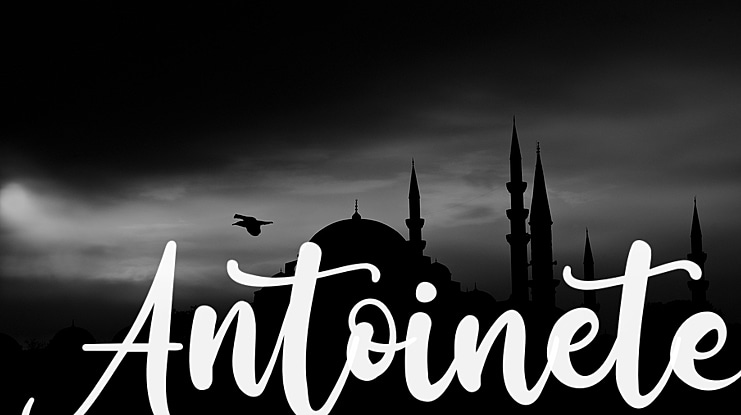 Antoinete Font Family